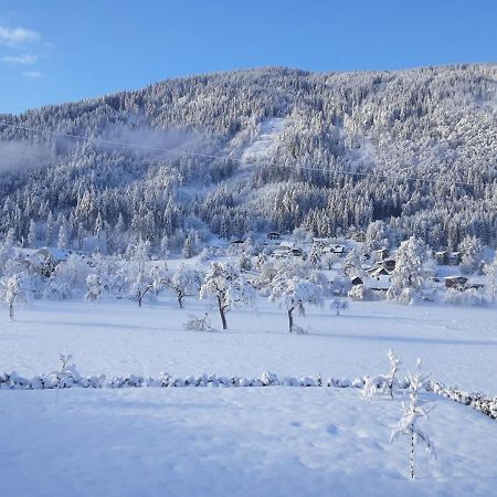 Apartment-Ferienwohnung 3 Treffen Am Ossiachersee Εξωτερικό φωτογραφία