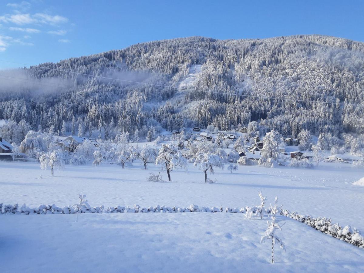 Apartment-Ferienwohnung 3 Treffen Am Ossiachersee Εξωτερικό φωτογραφία